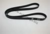 AUTOMEGA 30101330958 V-Ribbed Belts
